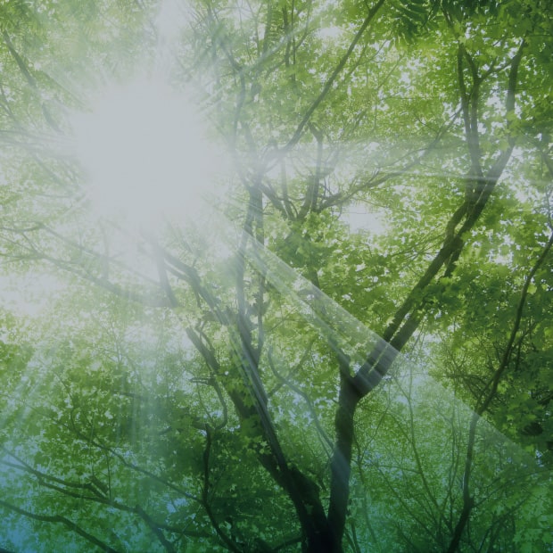 ZEH-M Oriented 地球と家計にやさしい「ZEH-M Oriented」の認定を取得